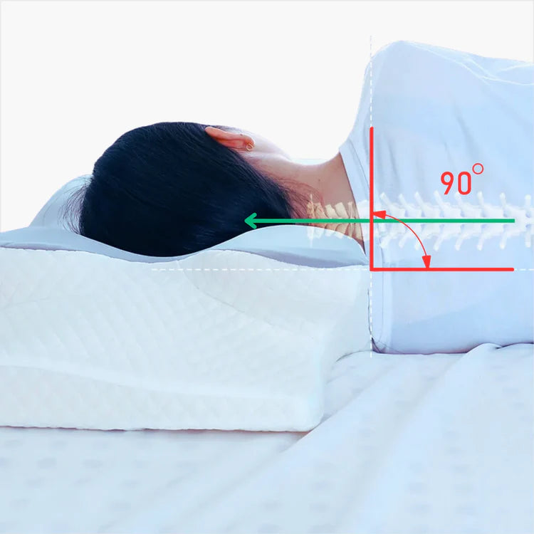 NOVÉA SÉRÉNITÉ™ - Oreiller Ergonomique Premium